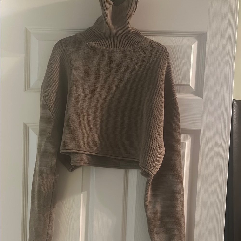 Beige/taupe Zara cropped turtleneck sweater